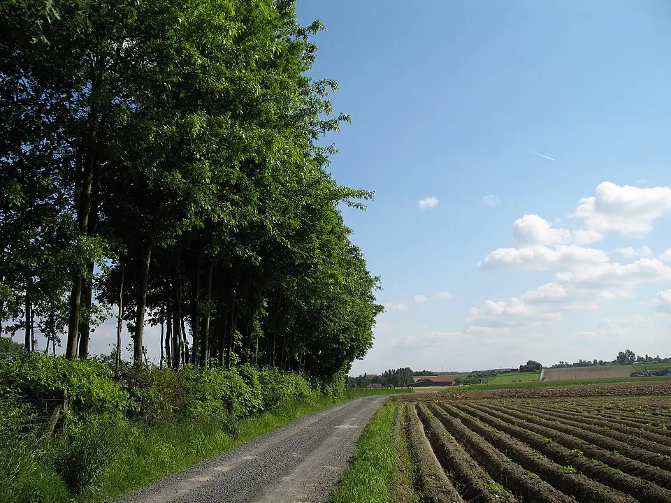 Ingooigem