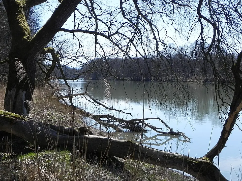 Vogelfreistätte Innstausee bei Attel und Freiham
