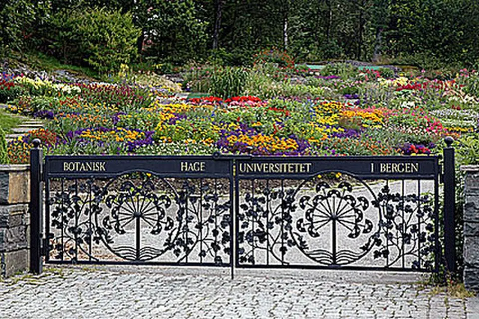Arboretet og Botanisk hage