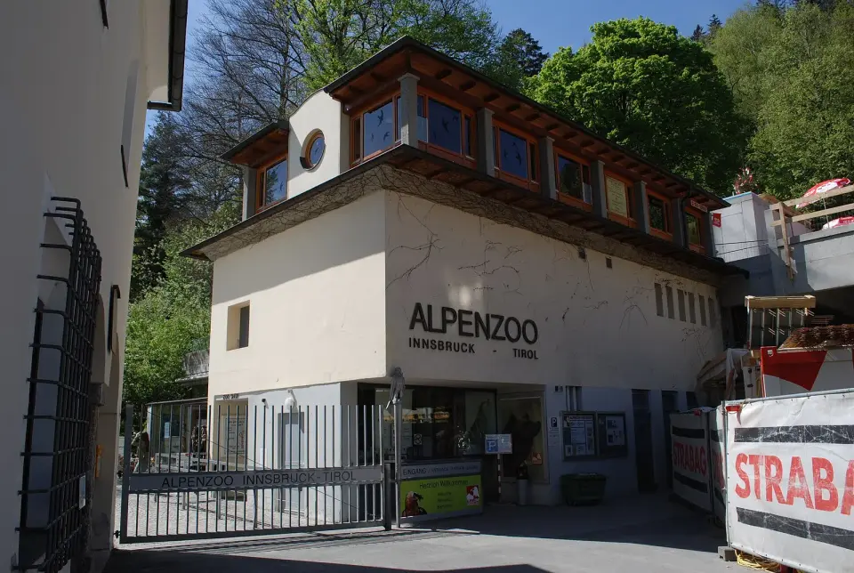 Bild: Hafelekar · CC BY-SA 3.0 Alpenzoo Innsbruck