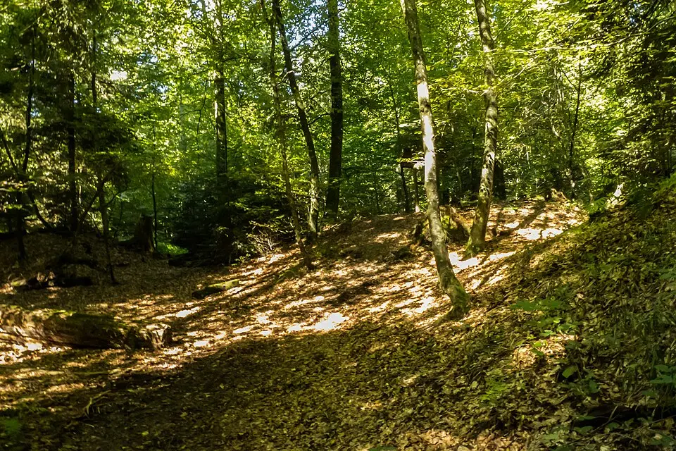 Kép: Ginkgo2g · CC BY-SA 3.0 Eisenzeitliche Grabhügelgruppe
