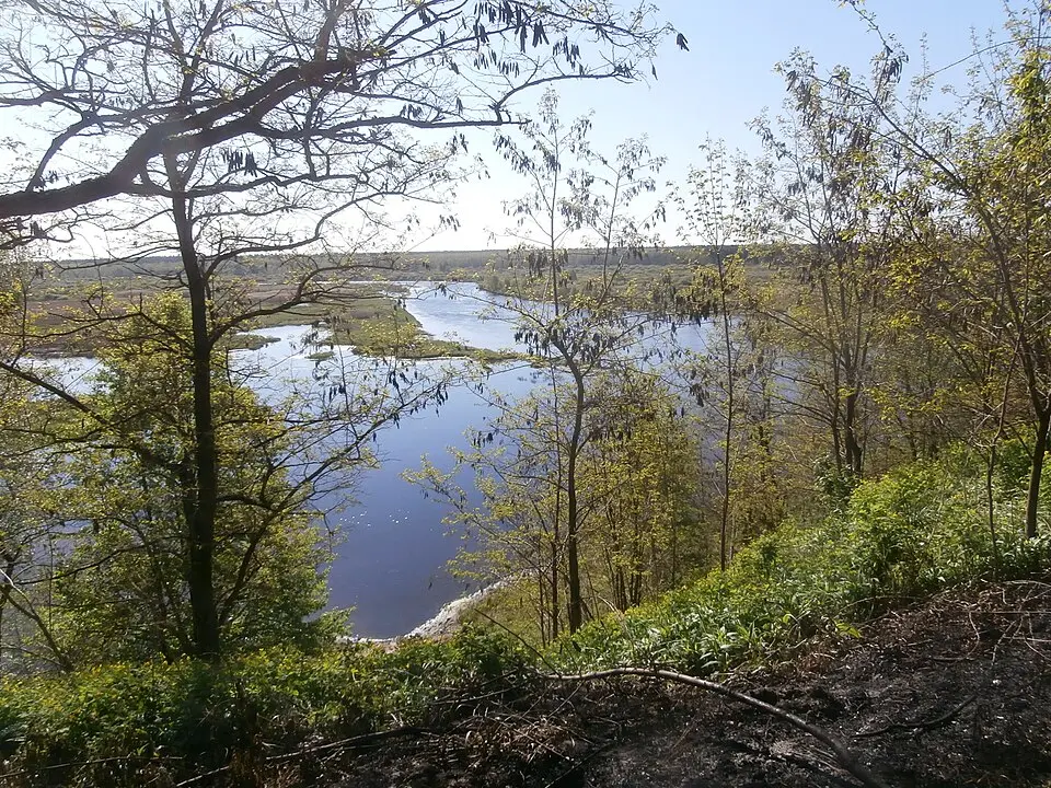 Іпуць