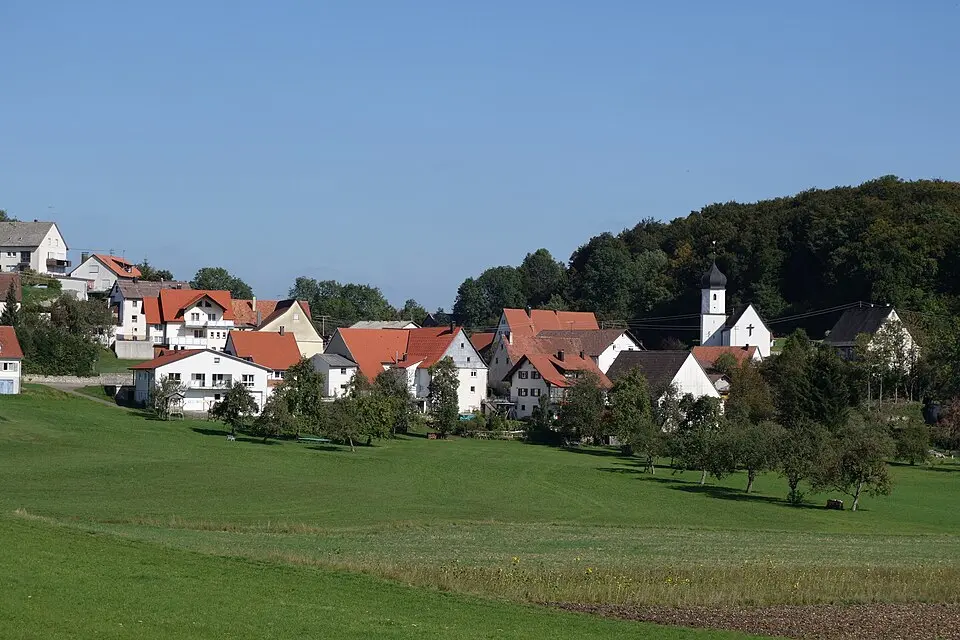 Obrázok: Tragopogon · CC BY-SA 4.0 Irndorf