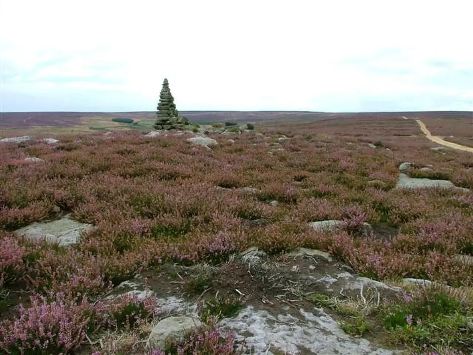 Field system including over 300 clearance cairns and two hut circles at Iron Howe