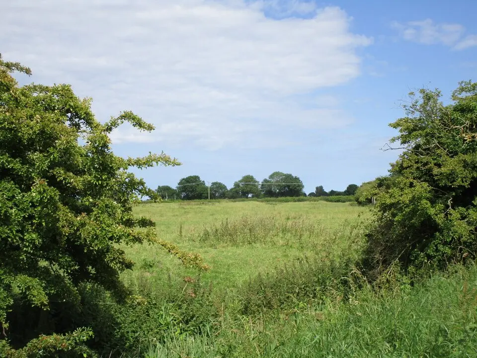 Abbey Hills moated site