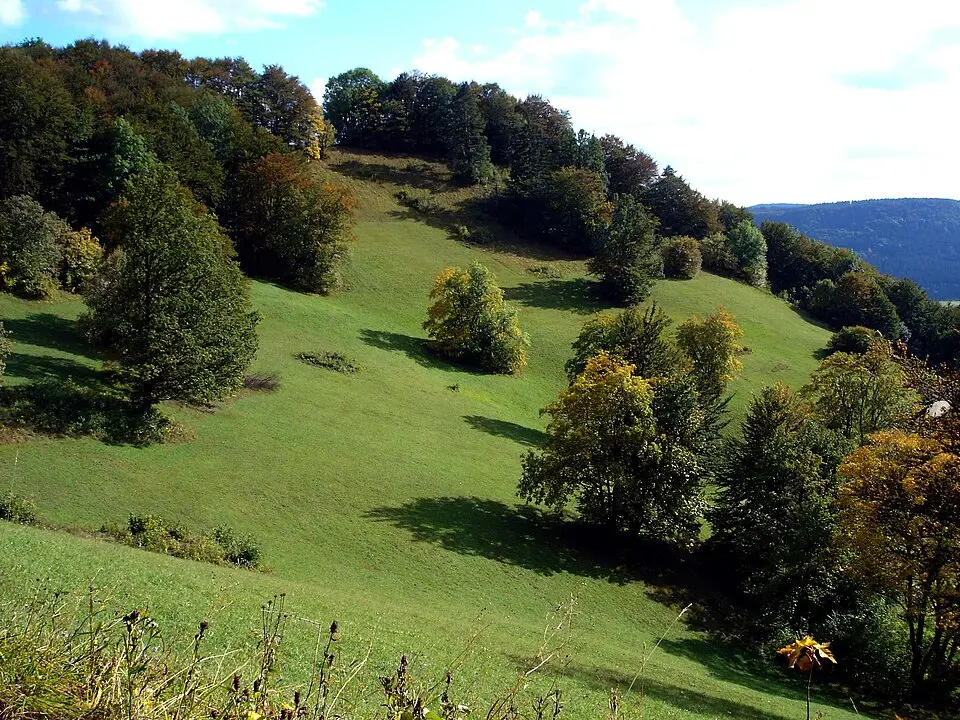 Irrenberg