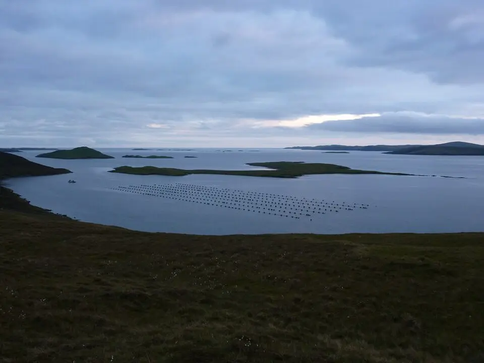 Flotta, Shetland