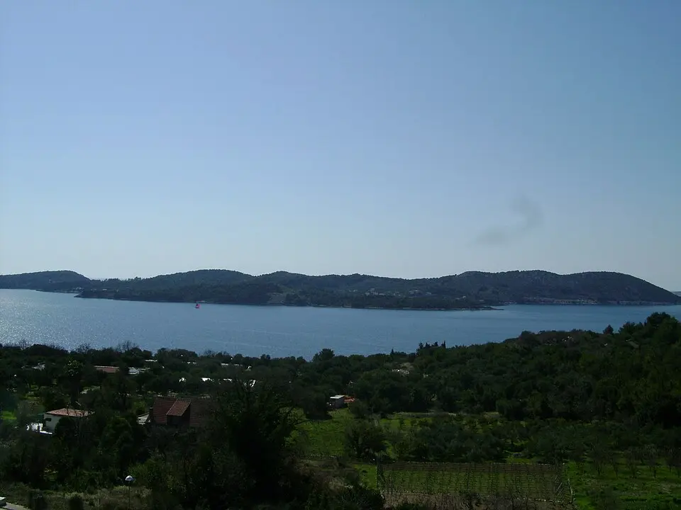 Obrázek: Lasta · Public domain Koločep