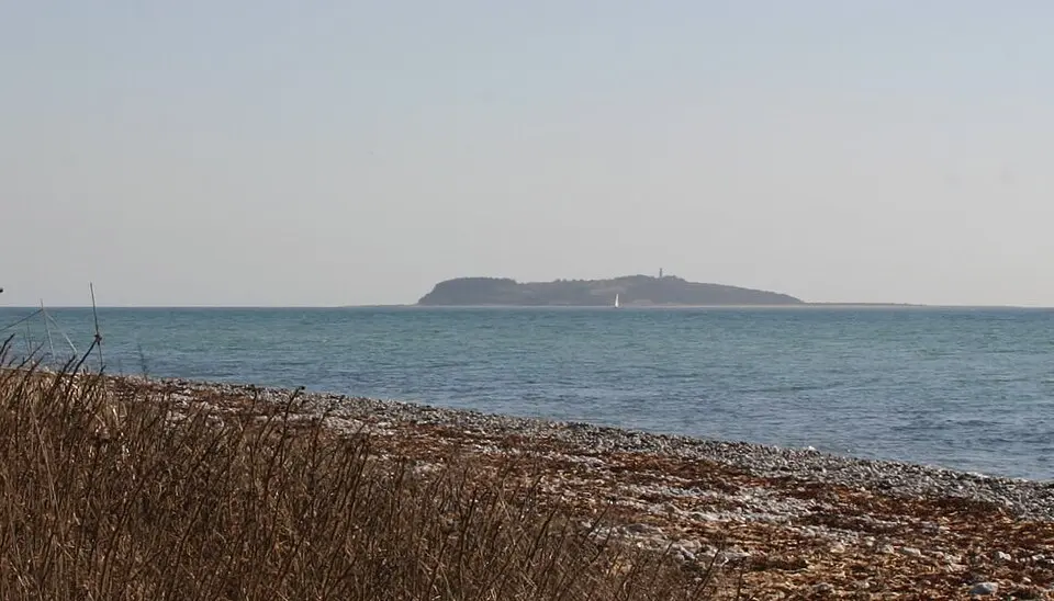 Hjelm