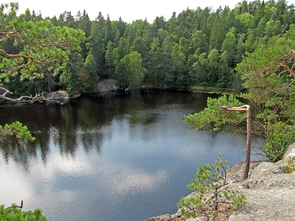 Abborrträsks naturreservat