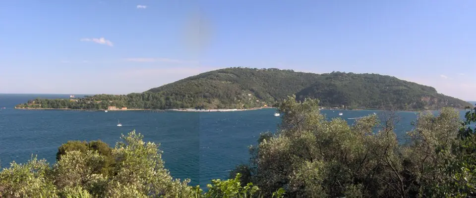 Palmaria