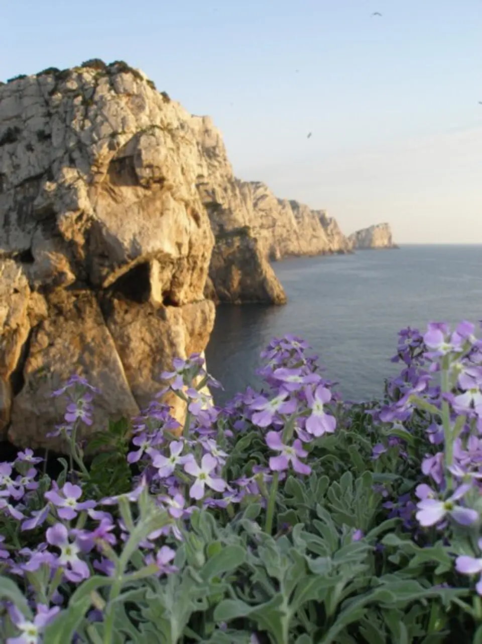 Isola Piana