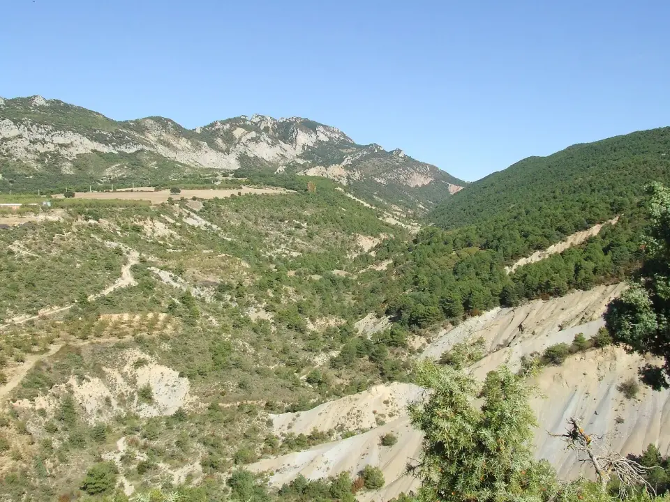 Barranc de Fonguera (Abella de la Conca)