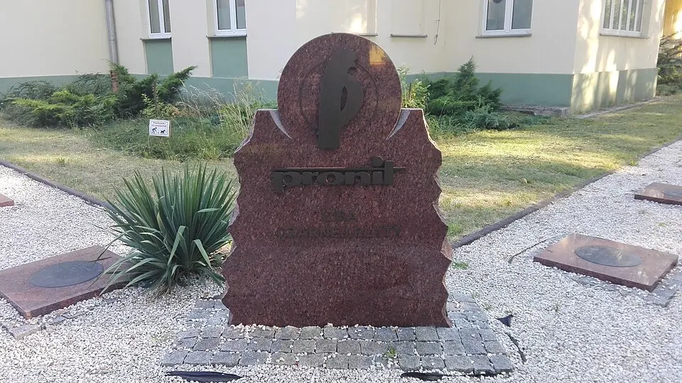 Izba Regionalna Czarnej Płyty w Pionkach