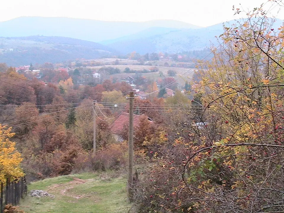 Dramša