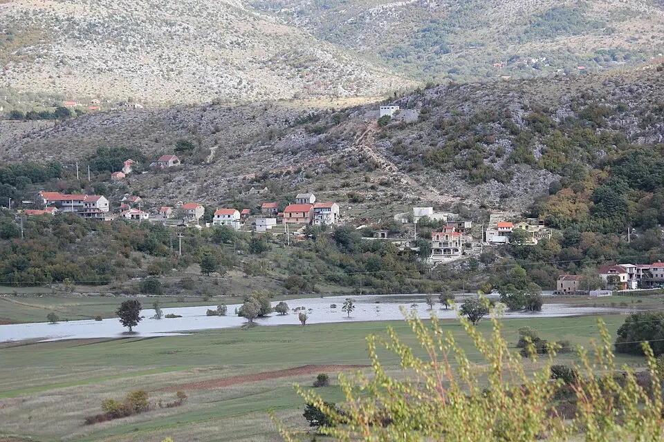 Mirlović Polje