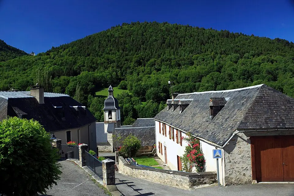 Gouaux