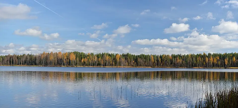 Jaala järv
