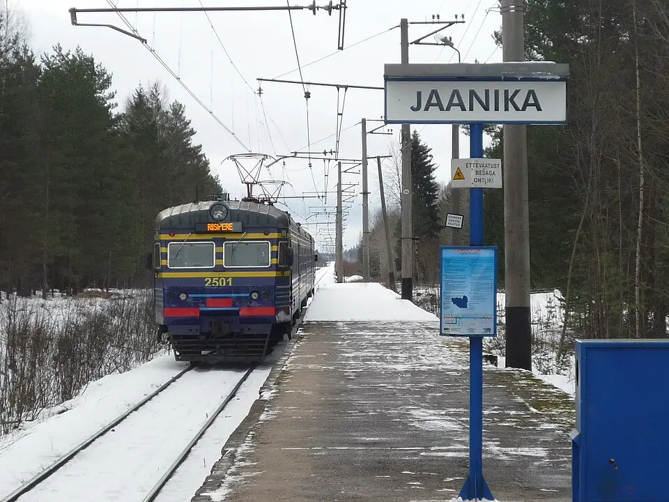 Jaanika