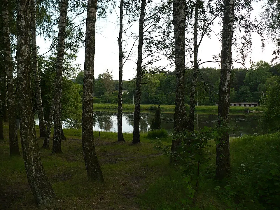 Jabłonowiec