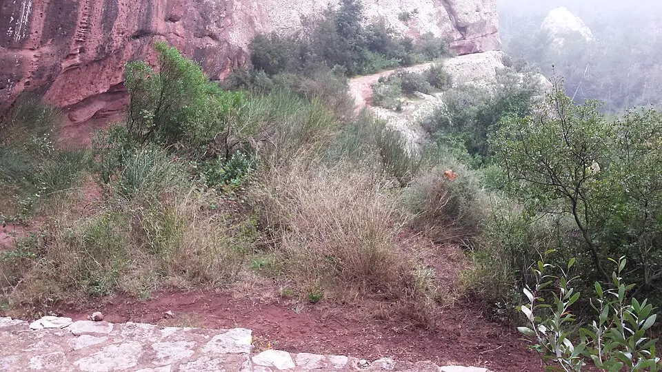 Site Sant Gregori