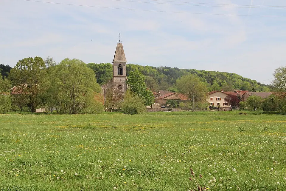 Sauvigny