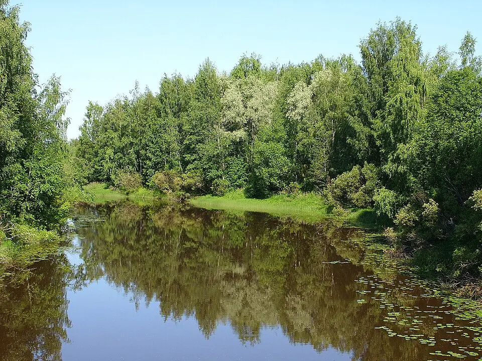 Jalasjoki