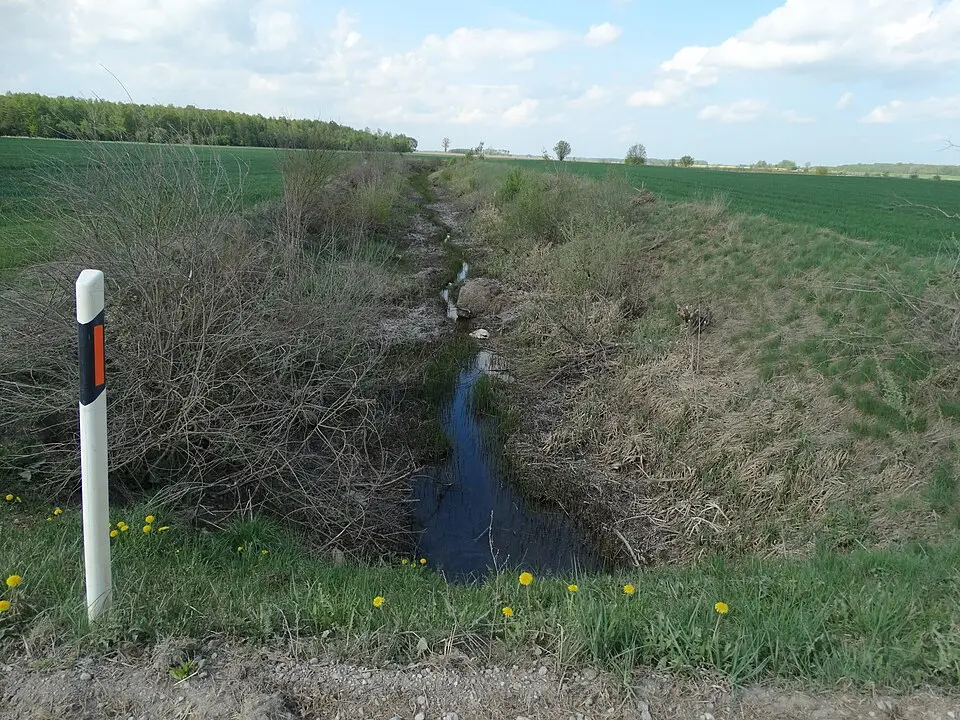 Viršytis