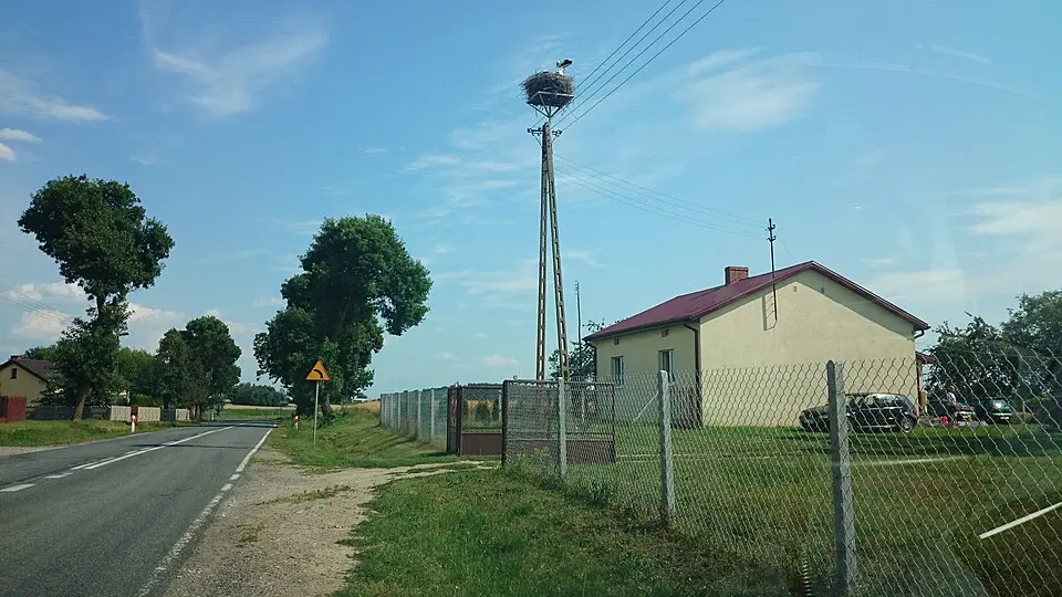 Jankowice