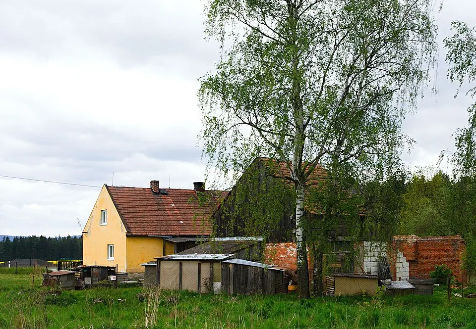 Janov
