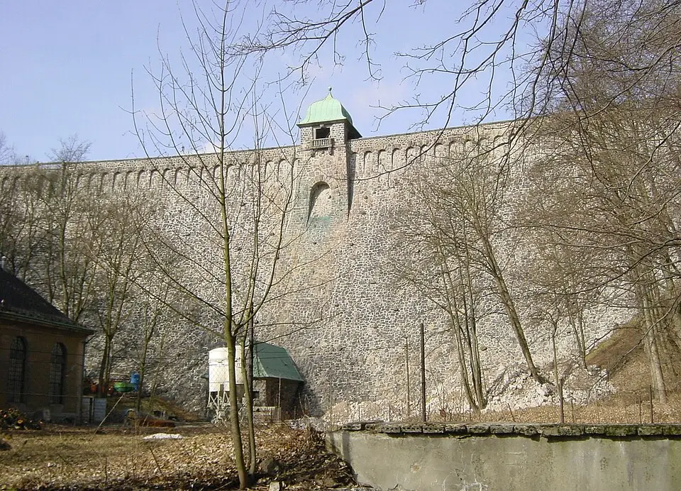 Janov