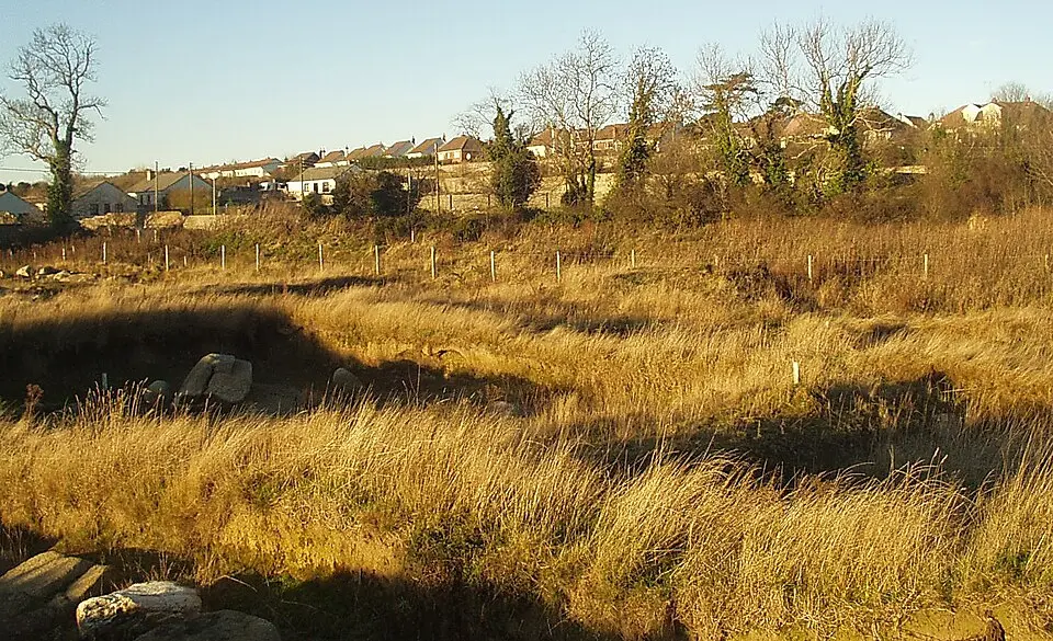 Carrickmines Castle