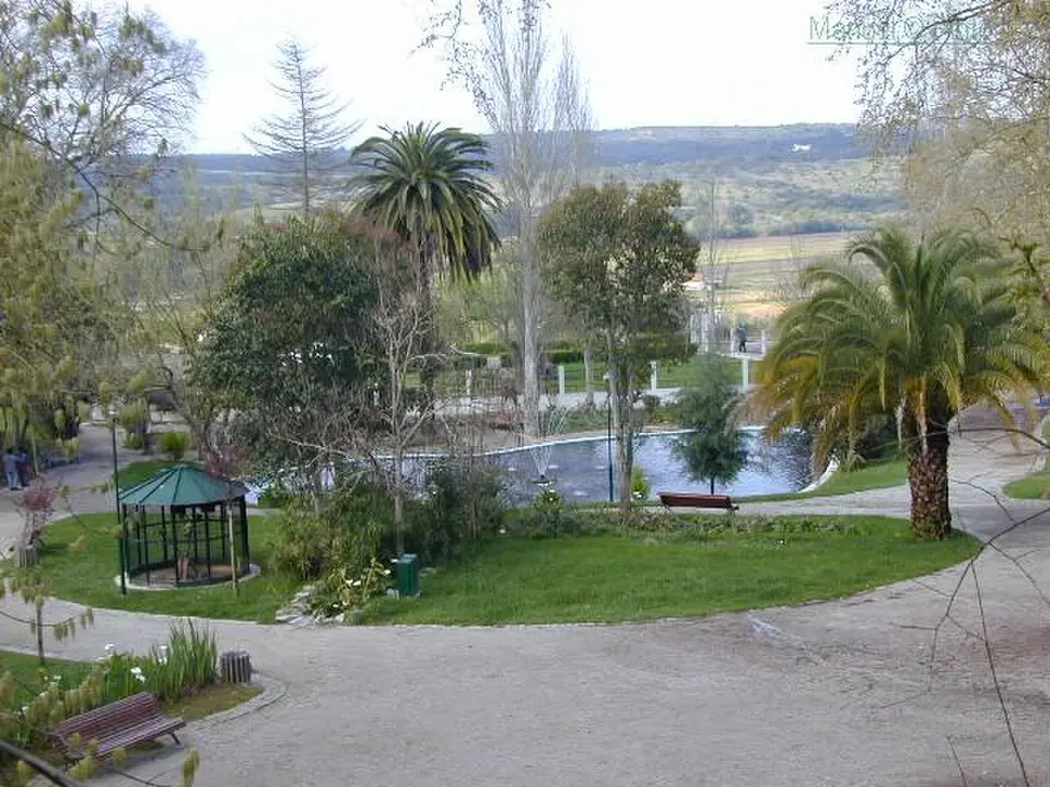 Mora