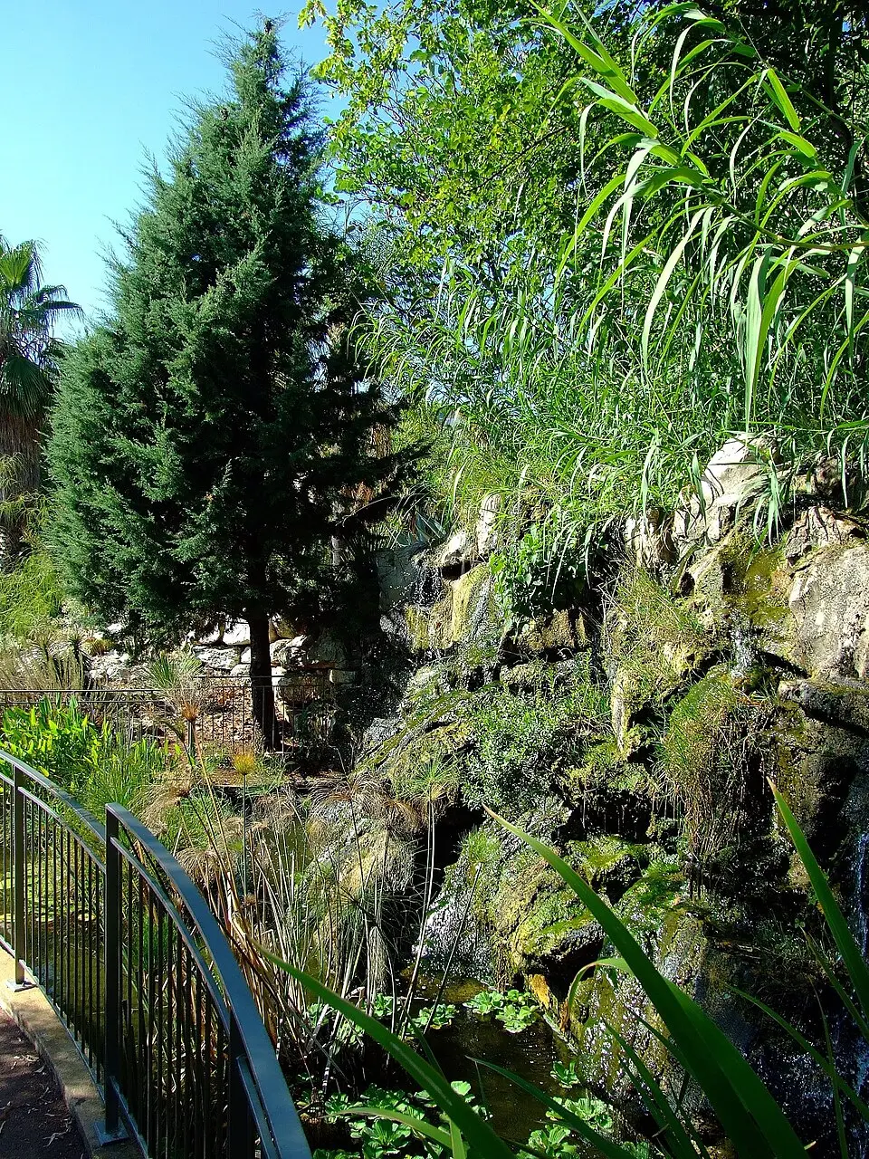 jardin botanique de la ville de Nice
