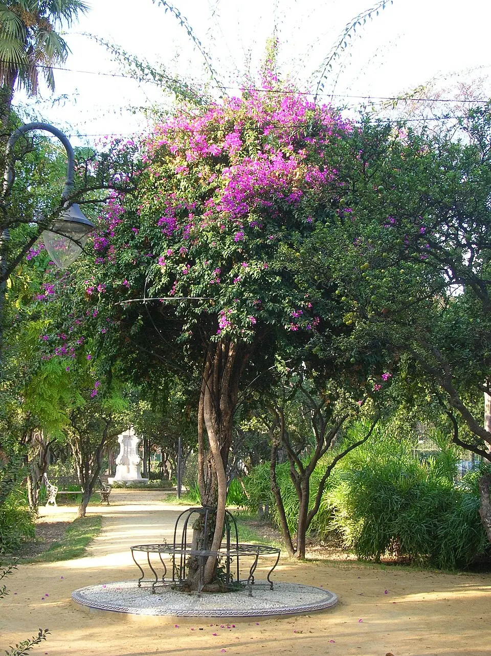Jardines de las Delicias