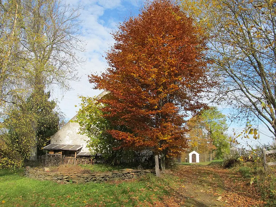 Jarkovice