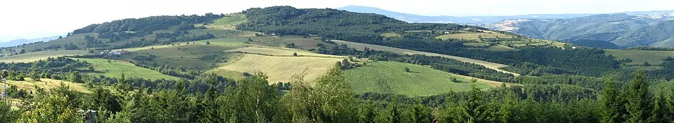 Kép: Ján Peťka · CC BY-SA 3.0 Javor