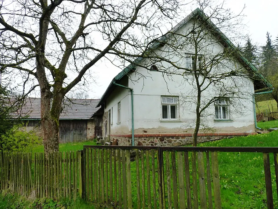 Javoří
