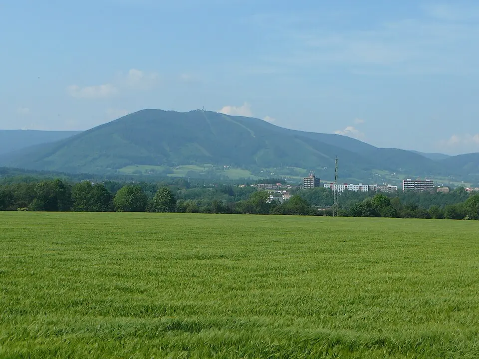 Javorový