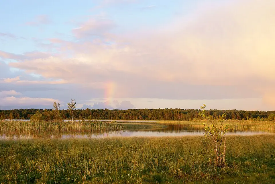 Järise järv