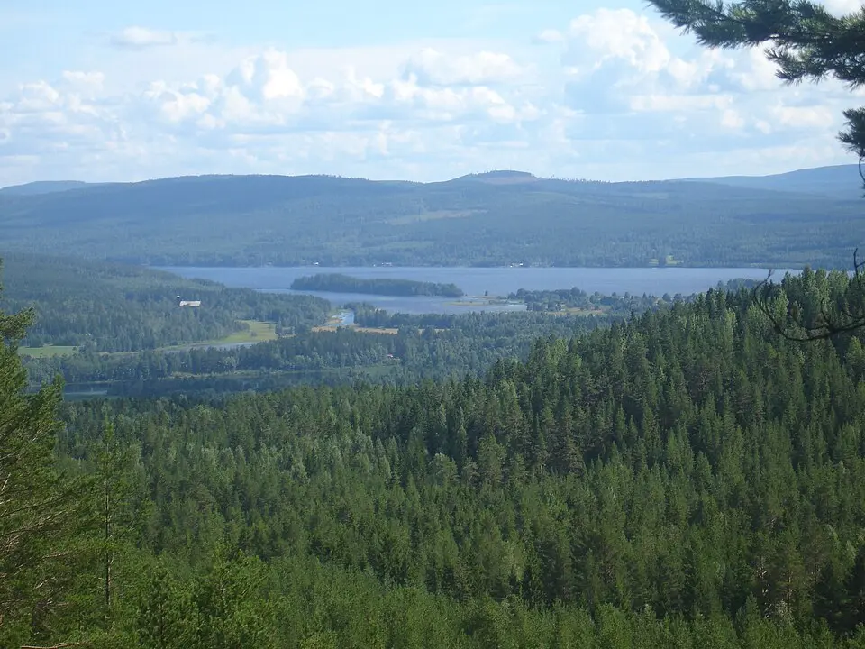 Vildriket