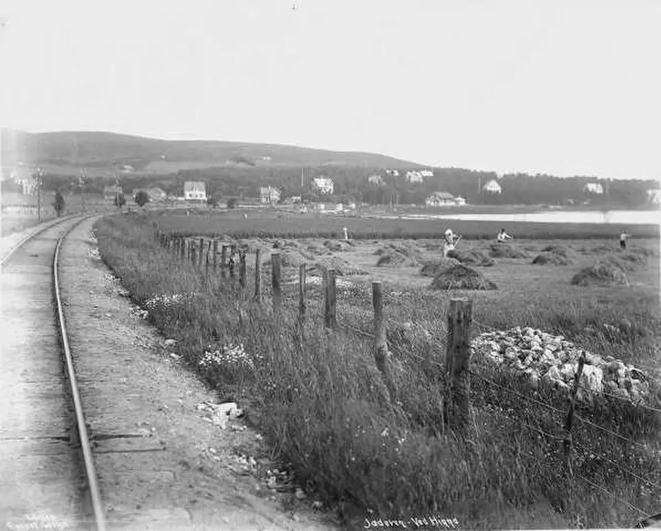 Hetland