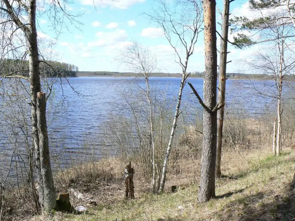 Jõemõisa järv