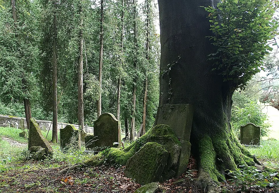 Jüdischer Friedhof Hohenems