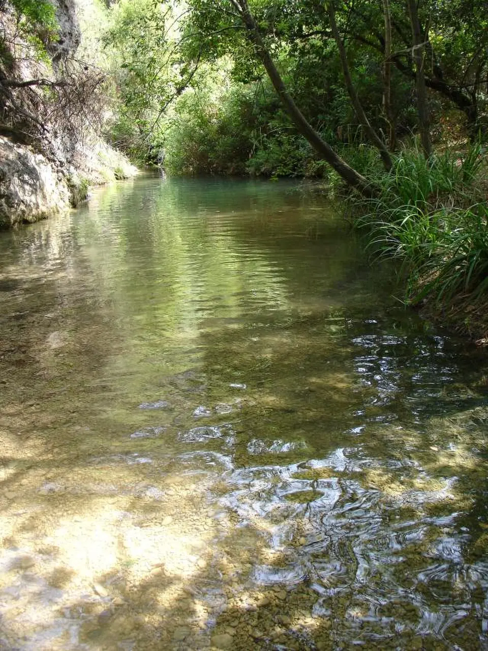 Río Cañamares