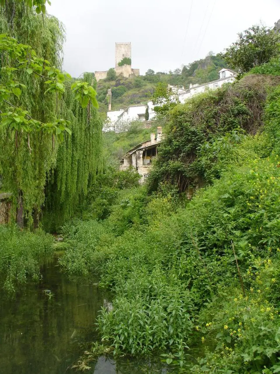 río Cerezuelo