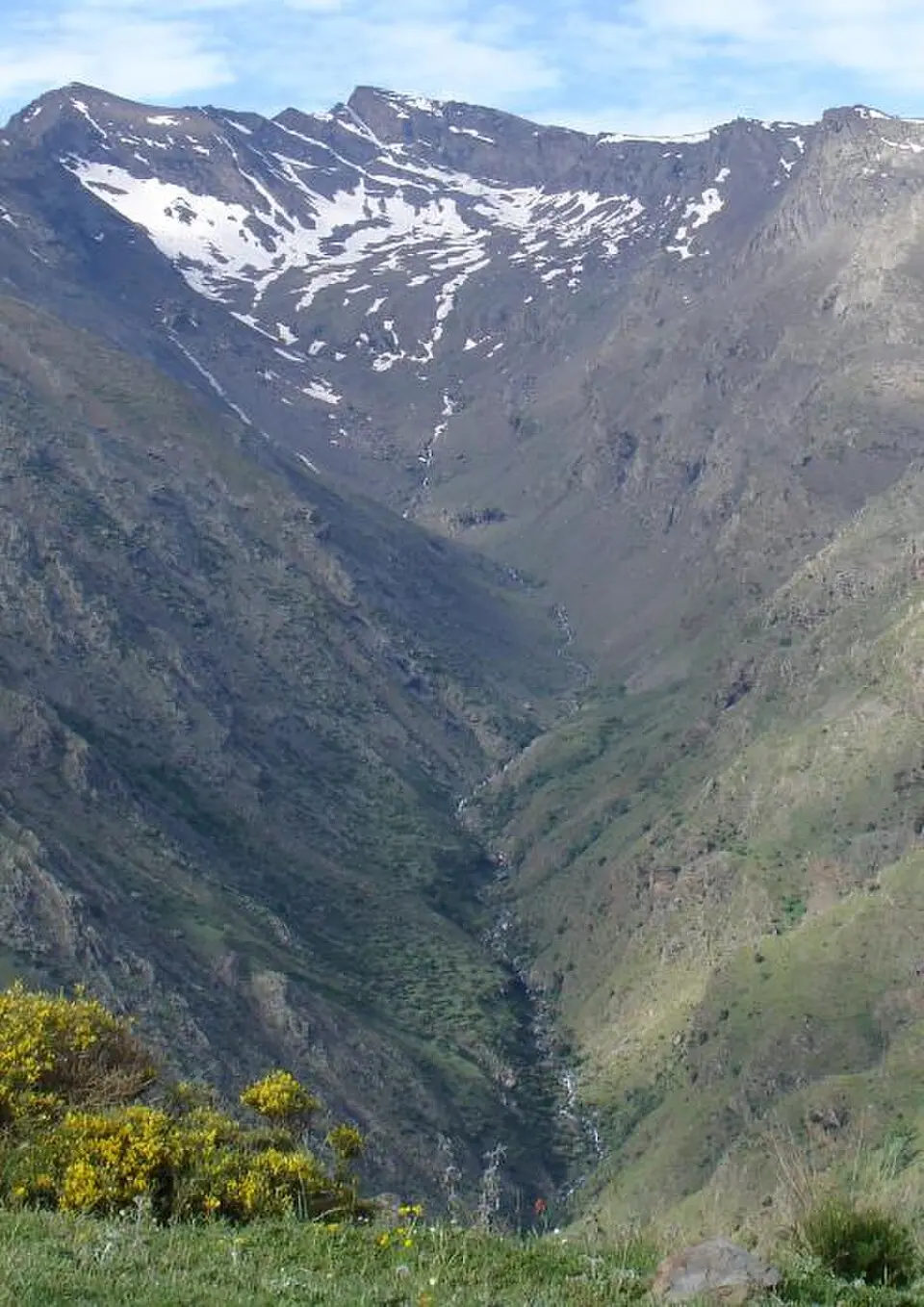 Guarnón