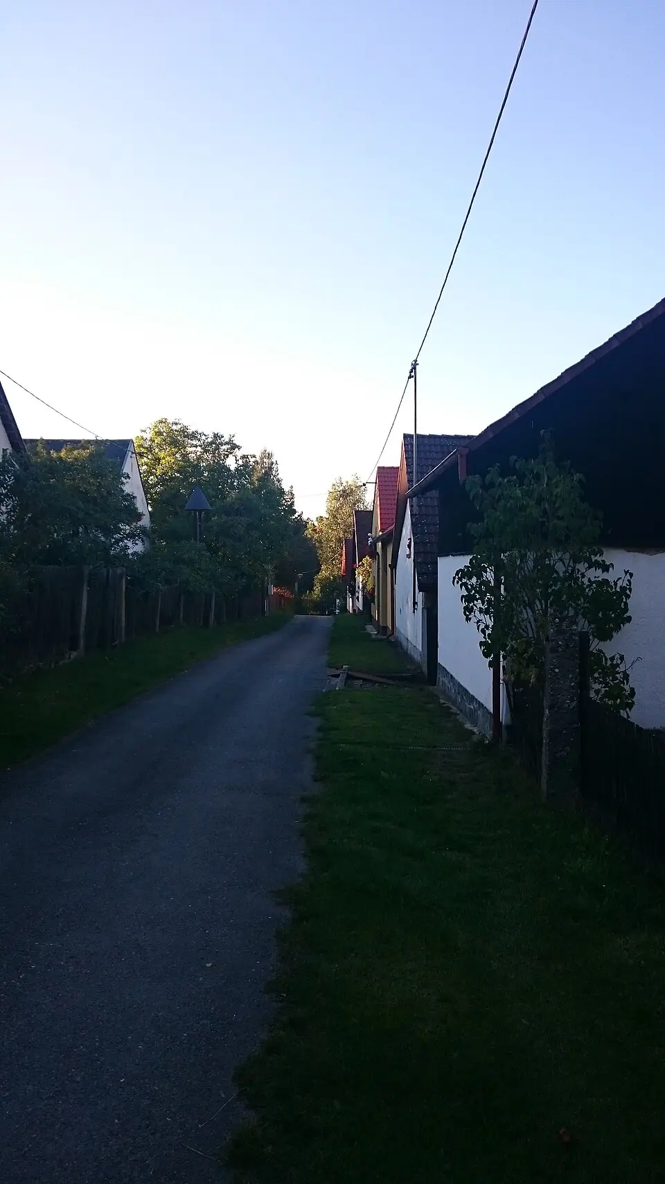 Jedvaniny