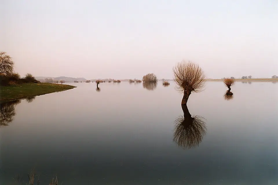 Immagine: Christian Fischer · CC BY-SA 3.0 Jeetzel