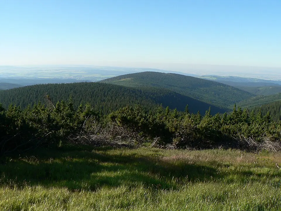 Ostružná